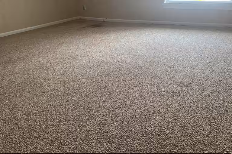 Carpet Cleaning landscape Carpet Cleaning landscape
