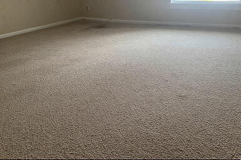 Carpet Cleaning landscape Carpet Cleaning landscape
