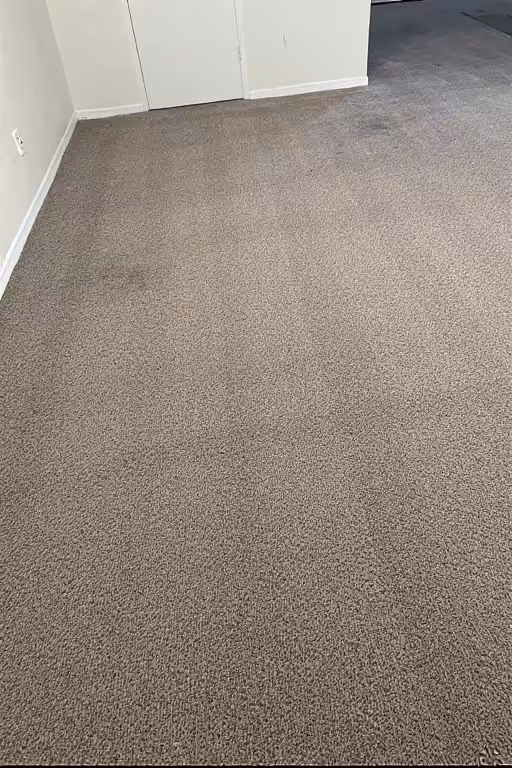 Carpet Cleaning portrait Carpet Cleaning portrait