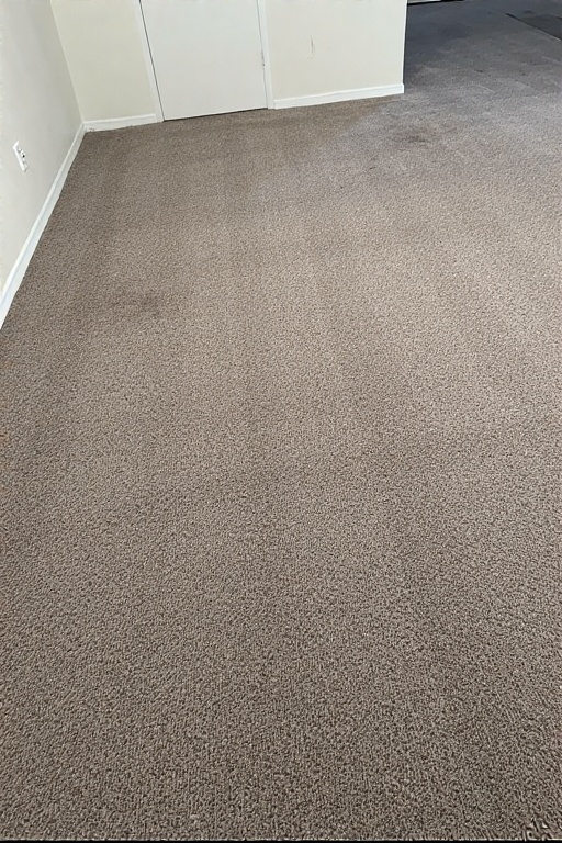 Carpet Cleaning portrait Carpet Cleaning portrait